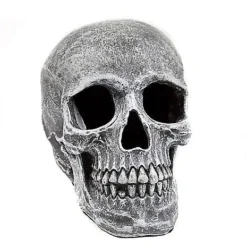 Large Realistic Skull Prop
