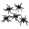 Black Spider Pack - 30 Pack