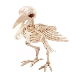 Skeleton Crow