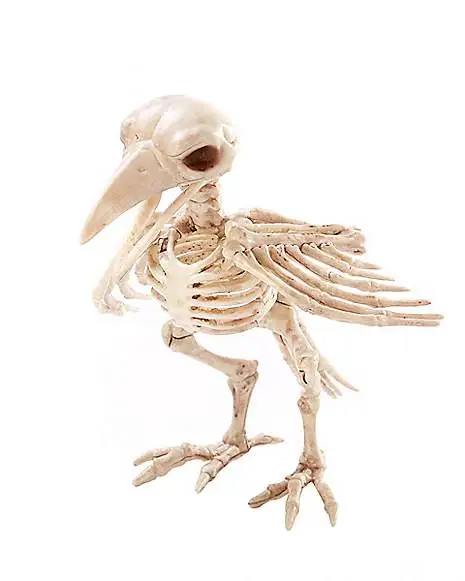 Skeleton Crow 1 Skeleton Crow