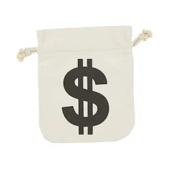 Burglar Money Bag