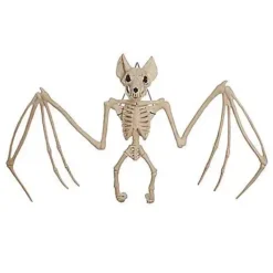 22.5 Inch Bat Skeleton