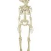 20 Inch Two-Headed Skeleton