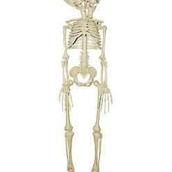20 Inch Two-Headed Skeleton