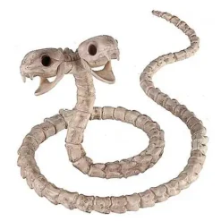 Two-Headed Snake Skeleton - Decorations