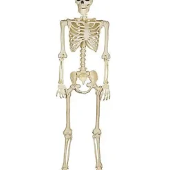 5 Ft Blacklight Skeleton