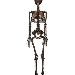 Moss Skeleton -Spirit Spooky Store 01477140 c