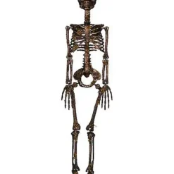 Moss Skeleton -Spirit Spooky Store 01477140 d