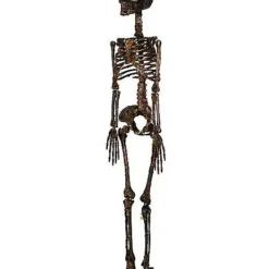 Moss Skeleton -Spirit Spooky Store 01477140 e