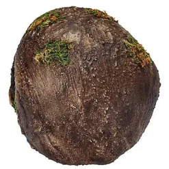 Moss Skull -Spirit Spooky Store 01477157 c