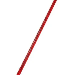 Red Sequin Cane