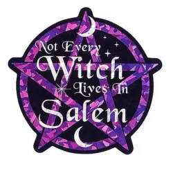 Not Every Witch Lives In Salem Magnet