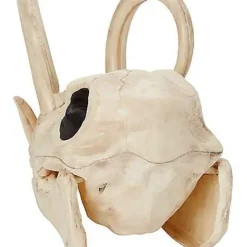 Boar Skull 10 Boar Skull -Spirit Spooky Store 01528785 c