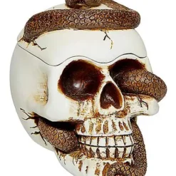 Snake Skull Box