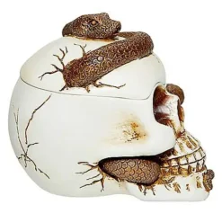 Snake Skull Box -Spirit Spooky Store 01530286 d