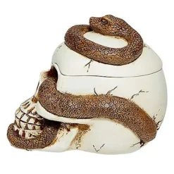 Snake Skull Box -Spirit Spooky Store 01530286 f