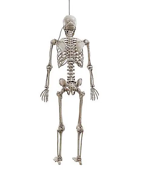 5 Ft. Digieye Hanging Skeleton Decoration 2 5 Ft. Digieye Hanging Skeleton Decoration - Image 2