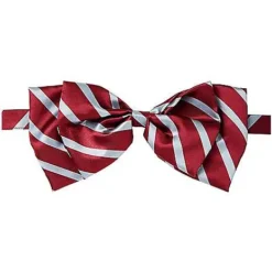 Cruella Tie And Pins Set - Disney Cruella -Spirit Spooky Store 01552181 d