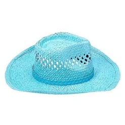 Blue Straw Cowboy Hat -Spirit Spooky Store 01573013 f