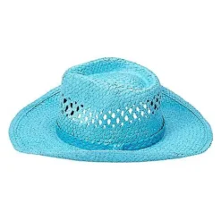 Blue Straw Cowboy Hat -Spirit Spooky Store 01573013 g