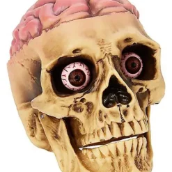Skull With Brain Decoration