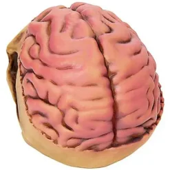 Skull With Brain Decoration -Spirit Spooky Store 01573070 c