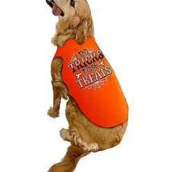 Tricks For Treats Pet Costume