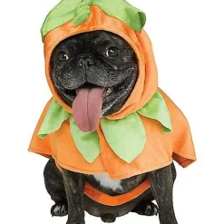 Pumpkin Pet Costume