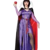 Adult Evil Queen Costume - Disney Villains