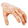 Chopped Off Hand