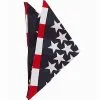American Flag Bandana