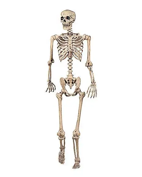 5 Ft Pose 'N' Stay Skeleton 1 5 Ft Pose 'N' Stay Skeleton