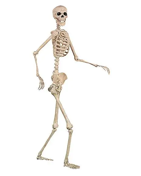 5 Ft Pose 'N' Stay Skeleton 2 5 Ft Pose 'N' Stay Skeleton - Image 2