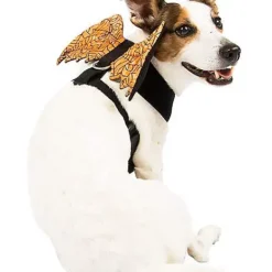Orange Web Wings Pet Harness