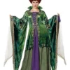 Adult Winifred Sanderson Plus Size Costume The Signature Collection -