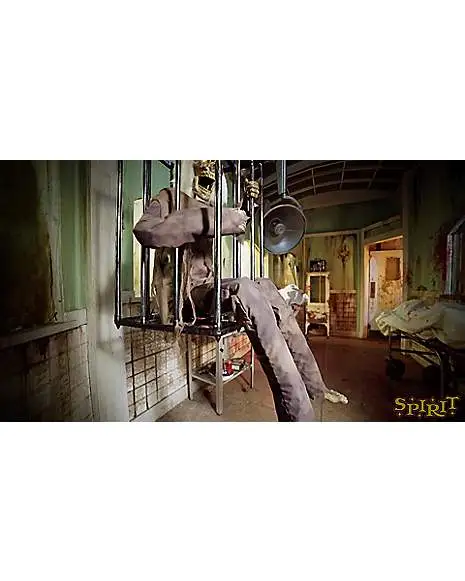 4.2 Ft Barry Animatronic 7 4.2 Ft Barry Animatronic - Image 7